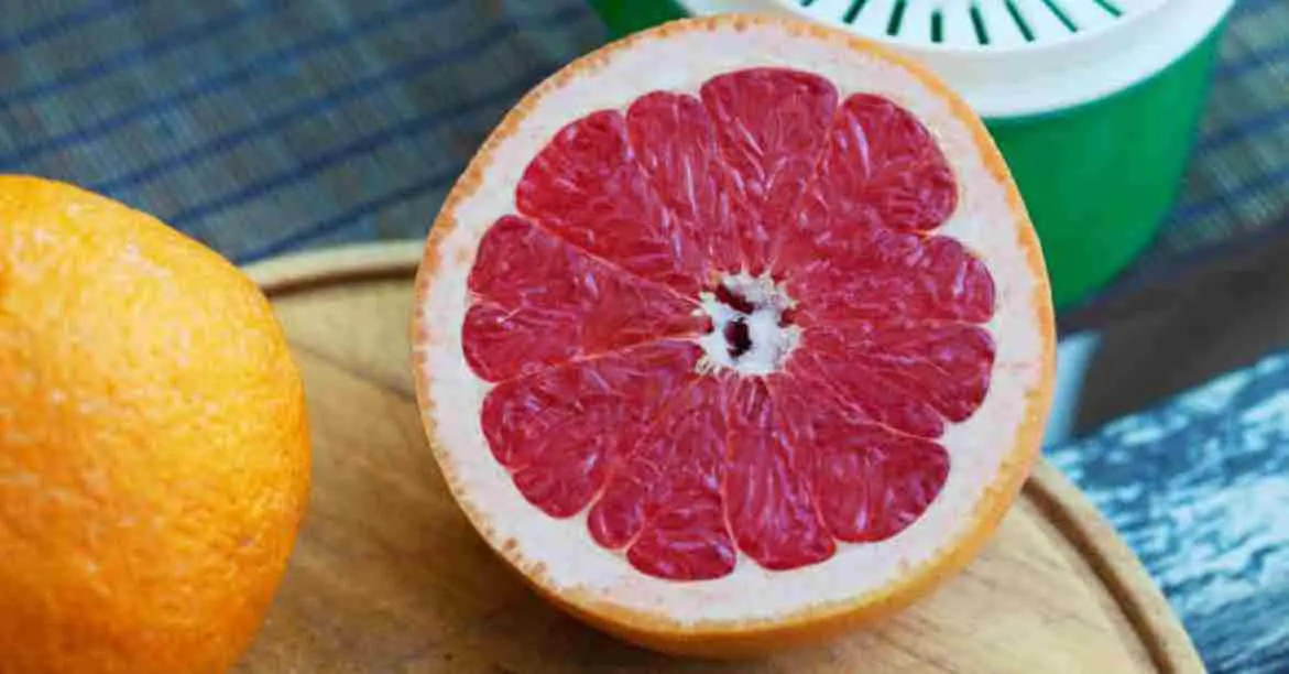 what is Grapefruit Season