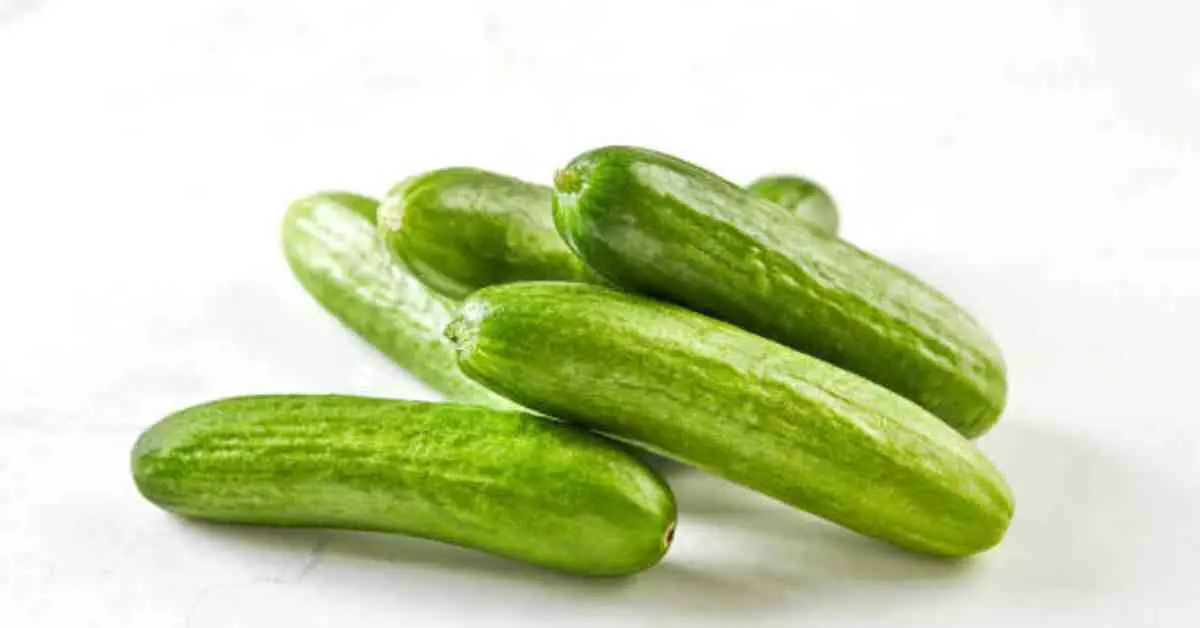 how many calories are in a mini cucumber